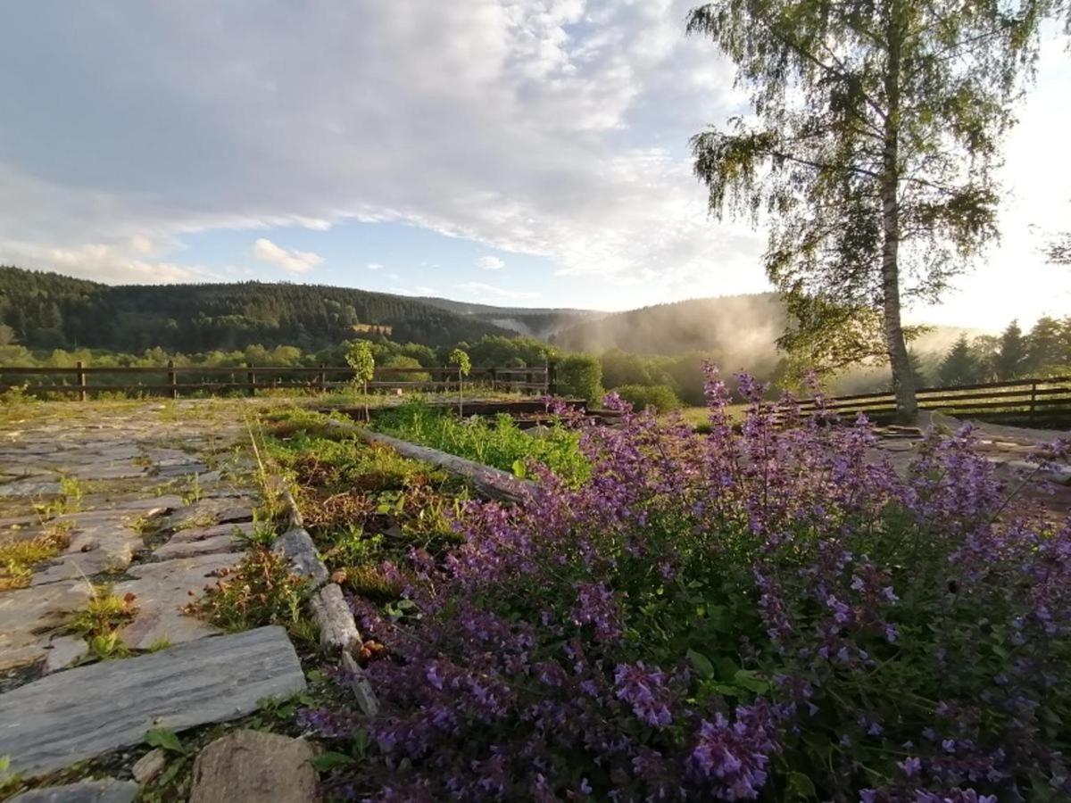 Chata Nad Dzika Orlica Z Jacuzzi Villa Poniatow Esterno foto